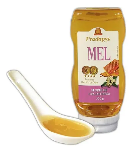 MEL DE FLORES DE UVA JAPONESA BISNAGA 550g